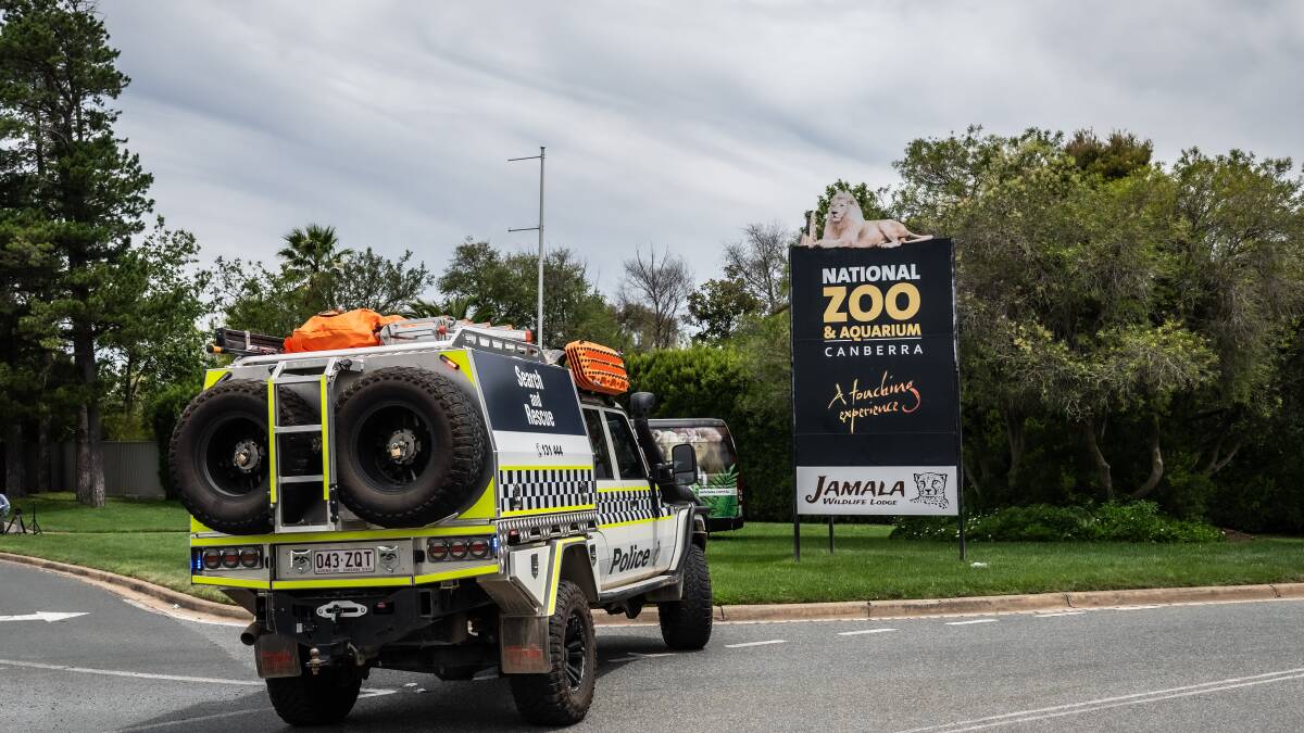 ACT police at the zoo on Monday. Picture by Karleen Minney