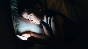 It's every parent's nightmare: a curious, unsupervised child accidently accessing violent adult pornography. Picture supplied