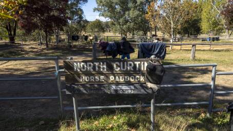 The ACT government is proposing 1300 homes for north Curtin. Picture by Gary Ramage