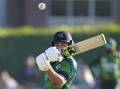 Ireland's Curtis Campher hit the winning runs in a first-ever T20 victory over Pakistan. (AP PHOTO)